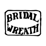Abel Bros. & Co.